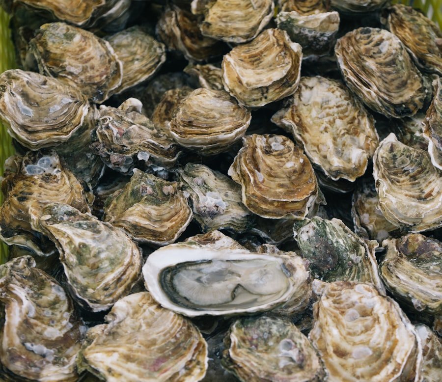 Arkshell Cockles