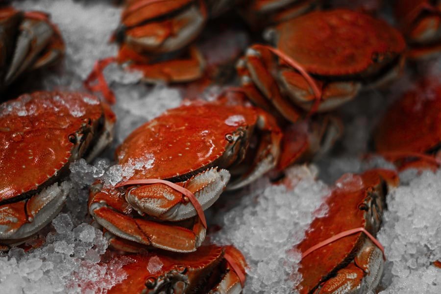 Fresh crab on ice