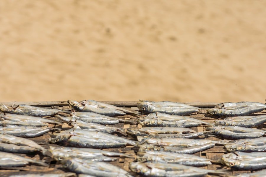 Dried anchovies and shrimp